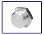 ASTM A182 Grade 304L Stainless Steel Forged Fittings Plugs in our stockyard